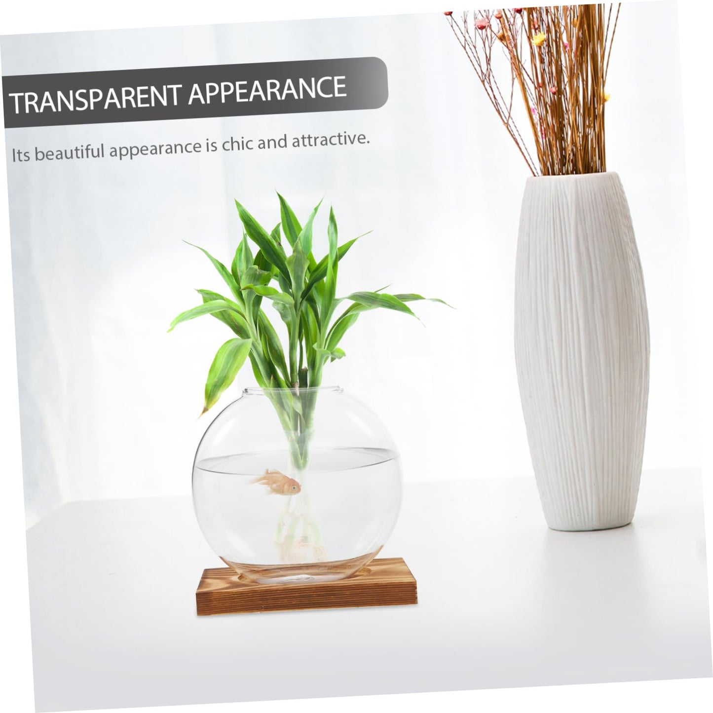 Levemolo Glass Terrarium Jar Plant Decorations Hydroponic Vase Wooden Base for Warming