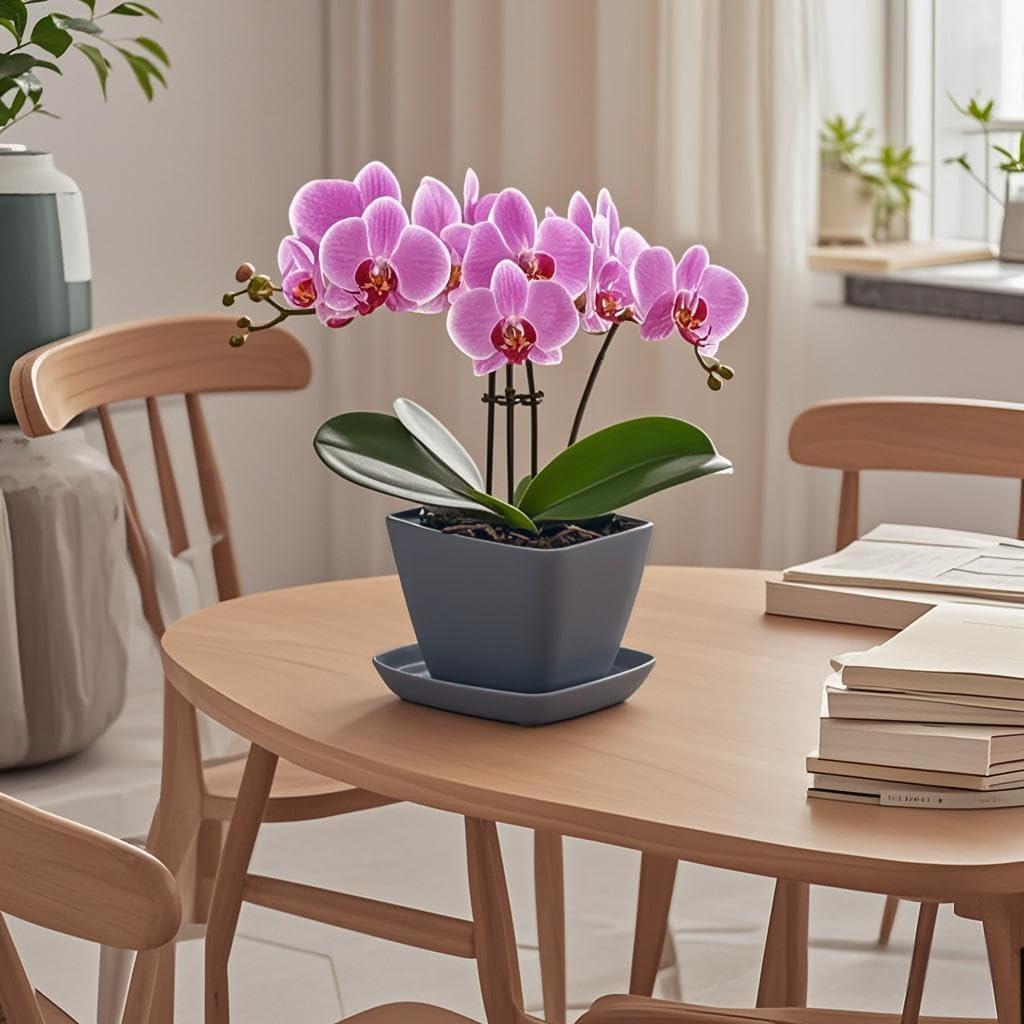 Square Plant Saucer 6 Inch 2 Pack，Plant Trays for Pots, Gray Ceramic Plant Saucers for Indoors Outdoors, Plant Drip Tray 4 6 8 10 12 14 Inch