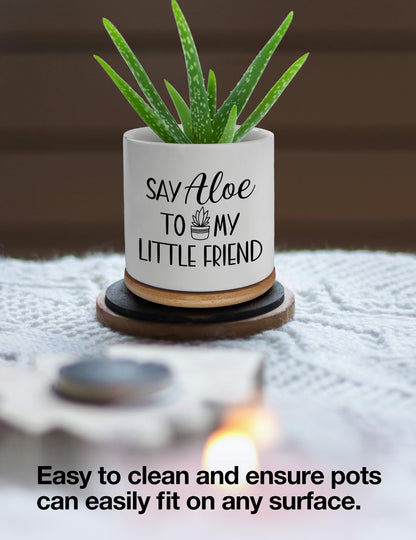 Cgvovgr Say Aloe to My Little Friend Small Planter Pot, Funny Succulent Planter Pots Set of 2, Windowsill Decor Indoor, Small Succulent Pots for Women Plant Lovers, 3.5 inch (Plant Not Included)