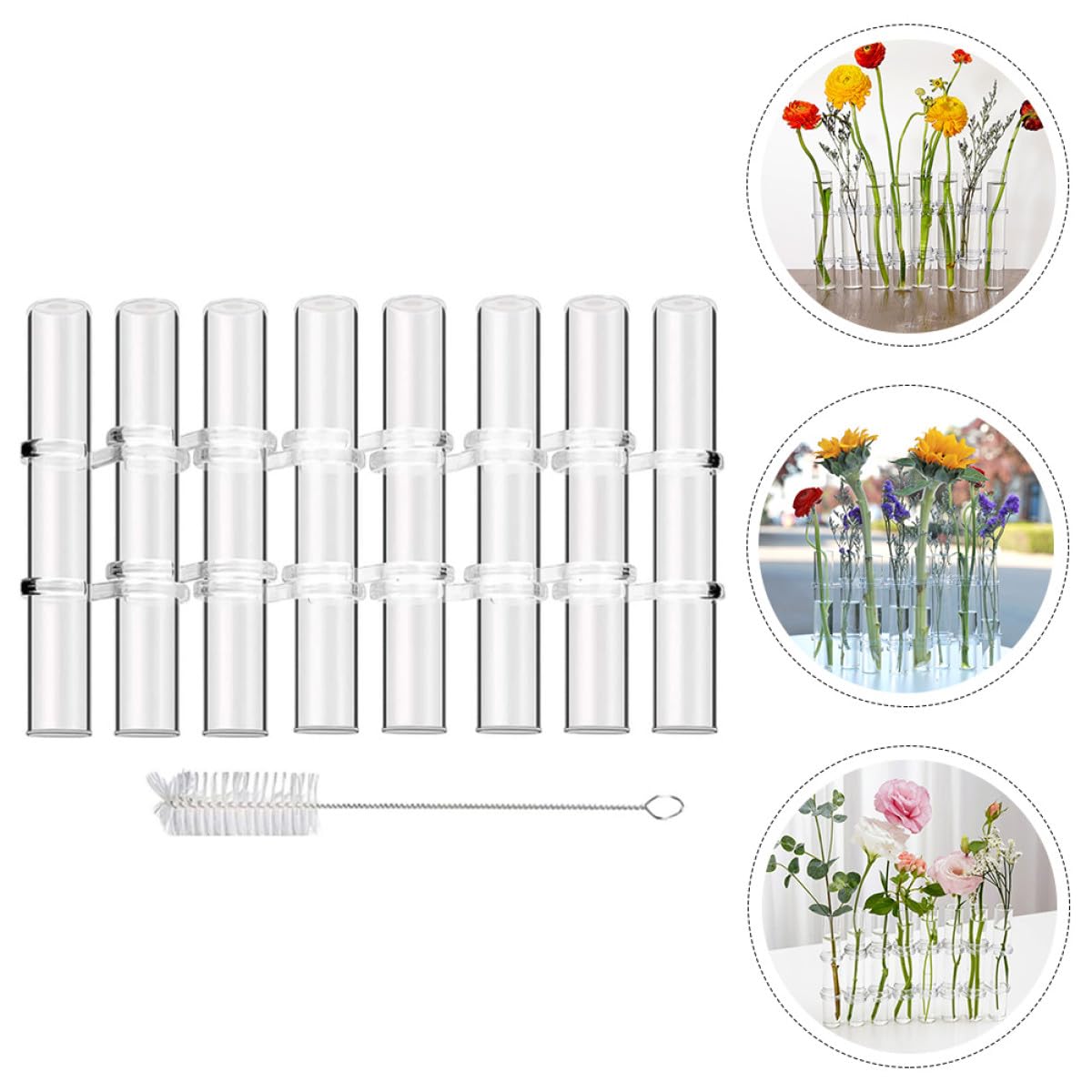 BESPORTBLE Test Tube Glass Vases for Flowers 8pcs Large Hydroponic Plant Terrariums with Brush Home Décor Propagation Station for Living Room Desk