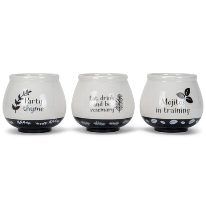 Napco Assorted Witty Herb Cache 3.5 Inch White and Black Ceramic Planters (Set of 3)