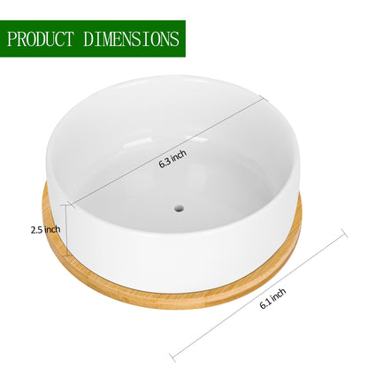 ARVINKEY White Ceramic Succulent Plant Pots, Set of 2 Round Planter Small Cactus Container, Bonsai Pots, Succulent Pots with Drainage Hole& Bamboo Tray (No Plant)
