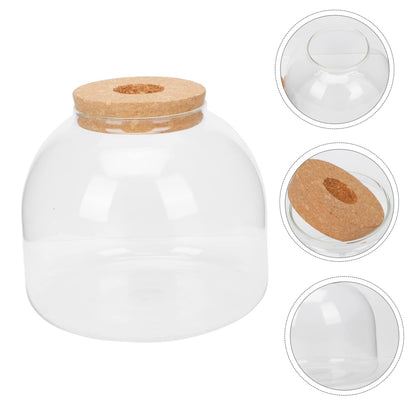 VANZACK 1set Glass Terrarium Container for Microlandscape Decor Transparent Bottle for Indoor and Outdoor Creative Plant Displays for Use