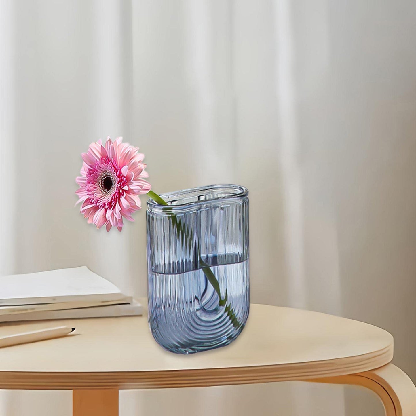 Duiaynke Glass Vase, Glass Ornament,Plant Vases Modern Terrarium Holder Display, for Dining Table Office Desktop Home Decor
