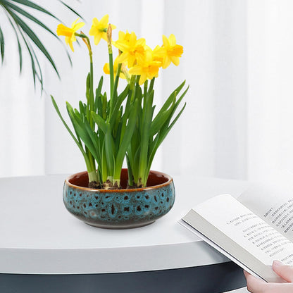 Vaguelly Hydroponic Plant Pot Ceramic Water Lily Narcissus Planter Large Deep Round Bowl for Indoor Balcony Garden
