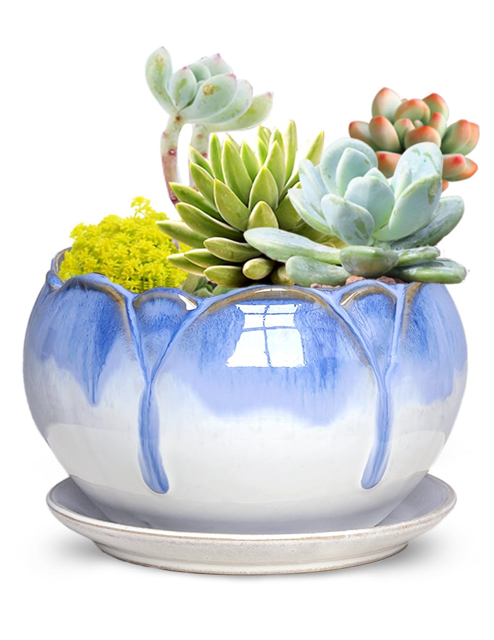 Dahlia 5.5'' Inch Rustic Drip Glazed Ceramic Planter/Succulent Pot/Plant Pot w. Saucer/Tray, White
