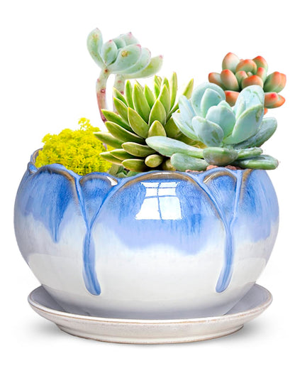 Dahlia 5.5'' Inch Rustic Drip Glazed Ceramic Planter/Succulent Pot/Plant Pot w. Saucer/Tray, White