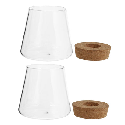 Zerodeko 2pcs Glass Eco Bottle Small Plant Vase for Indoor Terrarium Decoration Water Plants Home Decor Vase