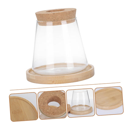 ETHZZLE Hydroponic Glass Vase with Wooden Stand Transparent Plant Propagation Station for Office Multifunctional Simple Flower Pot Desktop Greenery Terrarium Home Decoration and