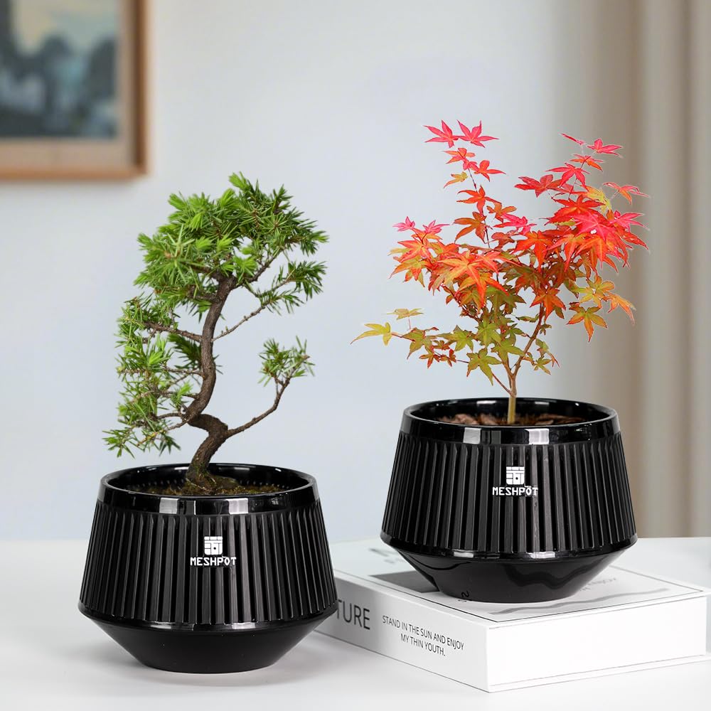 Meshpot 5 Inch Bonsai Pots with Drainage Tray, Set of 2, Plastic Imitate Ceramic Bonsai Tree Pot with Excellent Airflow, Black Succulent Pots for Indoor Plants, Juniper, Ficus, Chinese Elm, Cactus