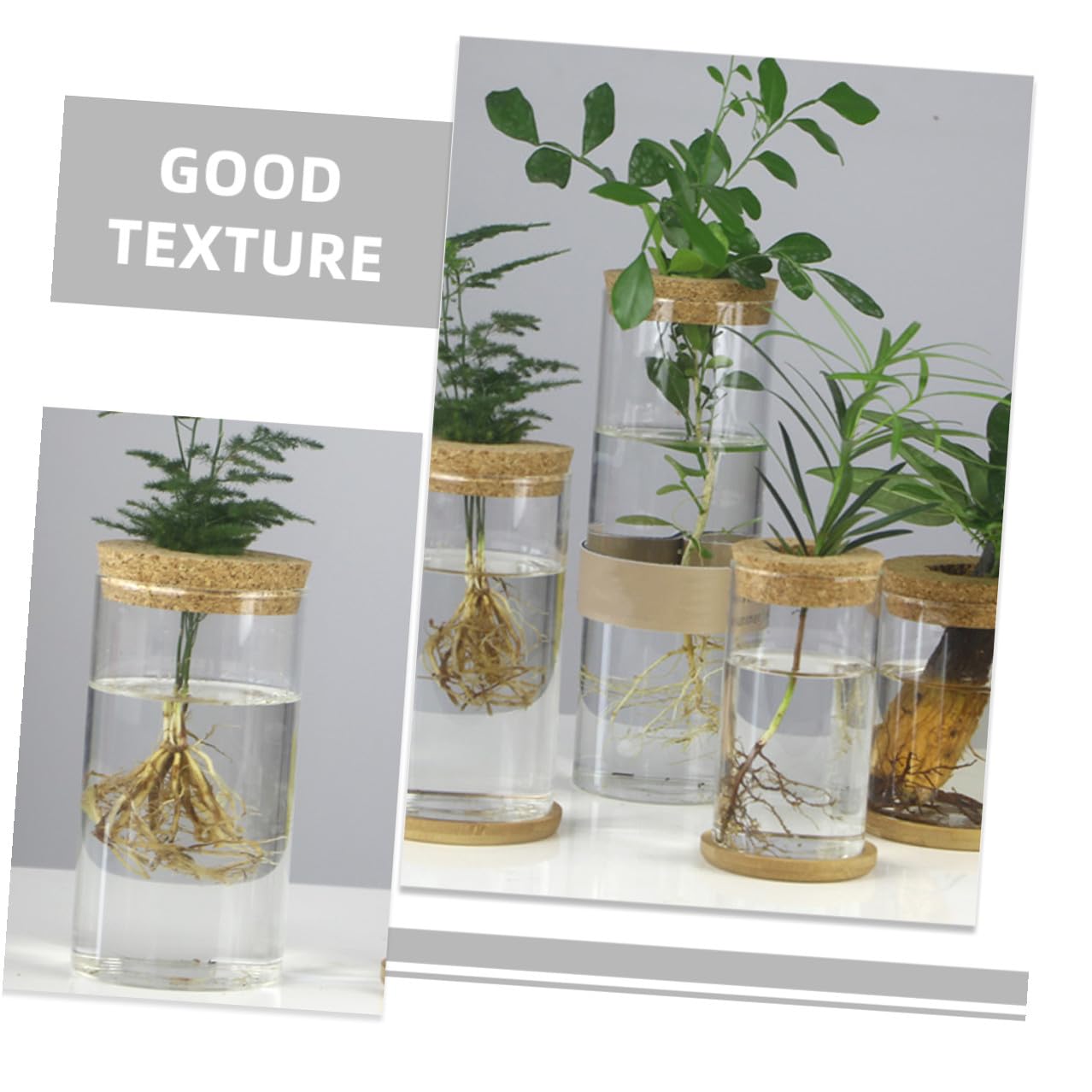 MAGICLULU Glass Hydroponic Vase Set for Succulents and Green Plants, Glass Flower Arrangement Container with Mat, 6.5x12cm, 2pcs Home Décor Terrarium Planter
