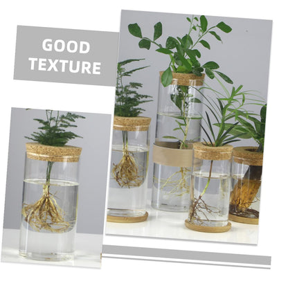 MAGICLULU Glass Hydroponic Vase Set for Succulents and Green Plants, Glass Flower Arrangement Container with Mat, 6.5x12cm, 2pcs Home Décor Terrarium Planter