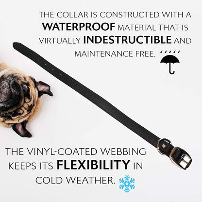 Regal Dog Products Small Black Waterproof Dog Collar and Leash Set | Heavy Duty Double Buckle & D Ring - 5'ft Leash | Adjustable Biothane Dog Collar | Chew Resistant Waterproof Collar for Dogs