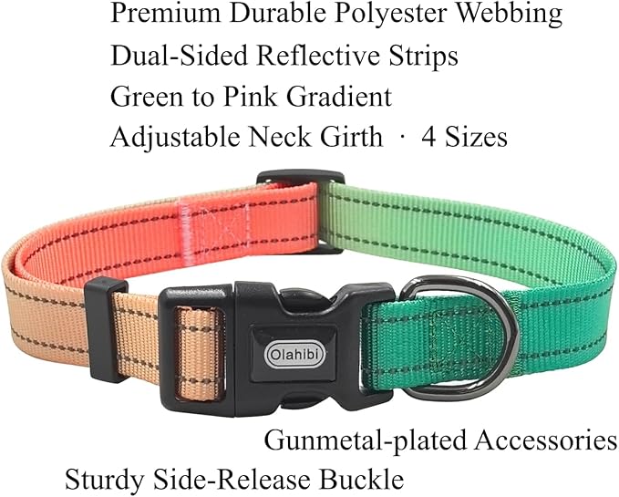 Dog Collar Leash Set, Gradient Color, with Safety Reflective Strips, 5 ft Matching Leash, Neoprene Padded Handle, Adjustable 4 Sizes for Small Medium Large Dogs.(S, Green Orange)