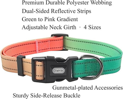 Dog Collar Leash Set, Gradient Color, with Safety Reflective Strips, 5 ft Matching Leash, Neoprene Padded Handle, Adjustable 4 Sizes for Small Medium Large Dogs.(M, Green Orange)