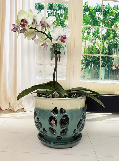 Fowargif 6.5inch Large Round Ceramic Orchid Pots with Holes, Flower Pot with Saucer for Indoor Plants Home Decorative, Round Planter,air Plant Pot