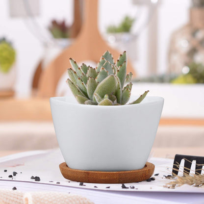 Brajttt Succluent Pots ，Small Flower Pots Planter Pots with Drinage,Ceramic Flowers Pots with Bamboo Tray for Cactus(12 Pack)