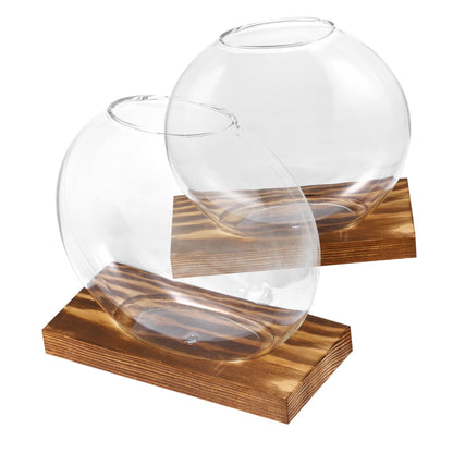 BESPORTBLE 4sets Glass Plant Terrarium Wall Garden Indoor Decorative Plant Vase for Home Decor