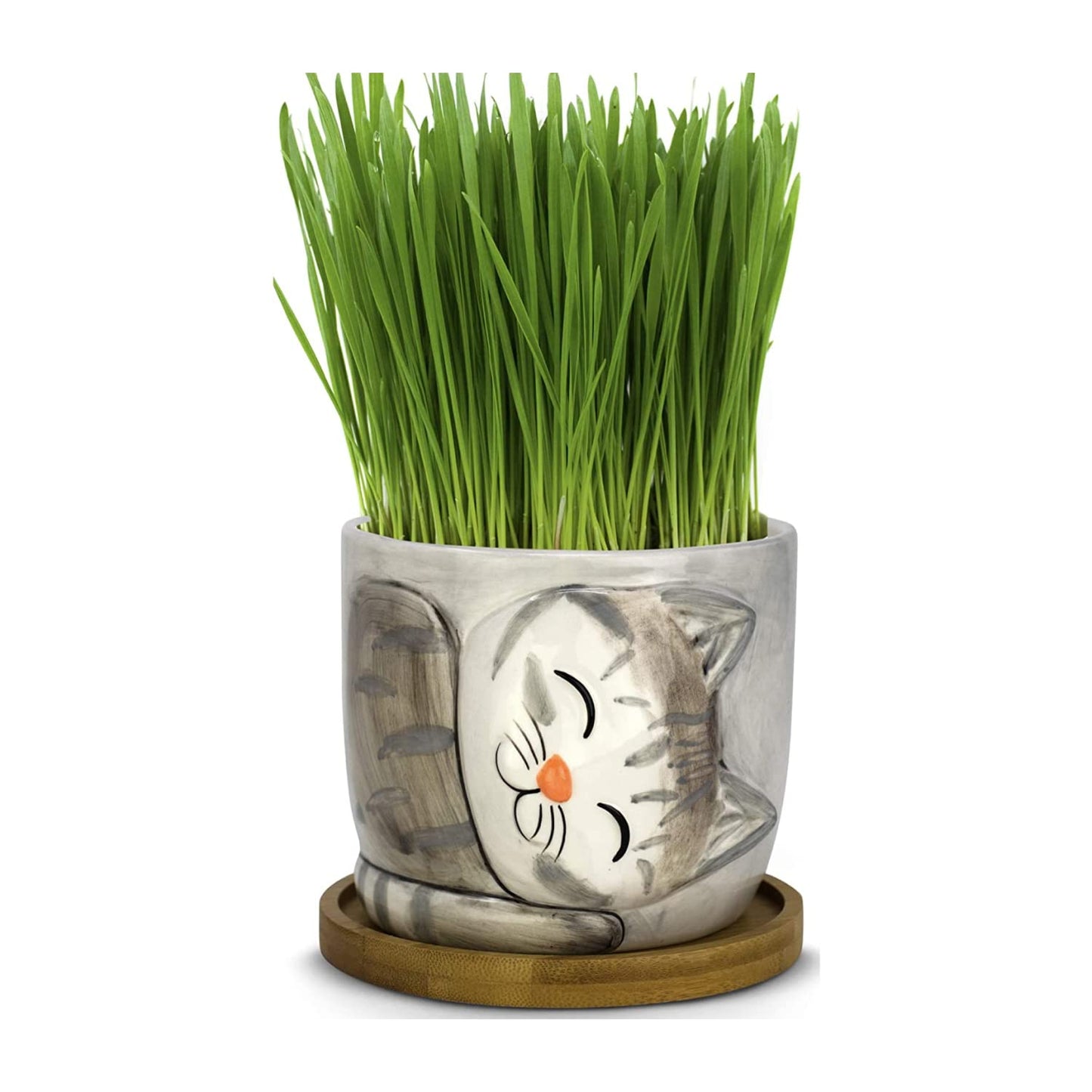 Window Garden Animal - Large Kitty Pot (Barney) Purrfect for Indoor Live House Plants, Succulents, Flowers and Herbs, Super for Cat Lovers, Cat