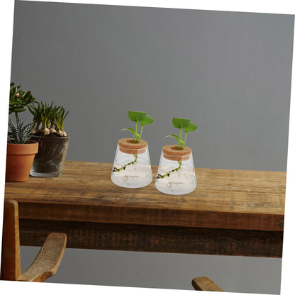 OUNONA 2Pcs Desktop Glass Hydroponic Chic Transparent Vases for Home Decor Stylish Terrarium for Indoor Plants for Office Garden Aesthetics