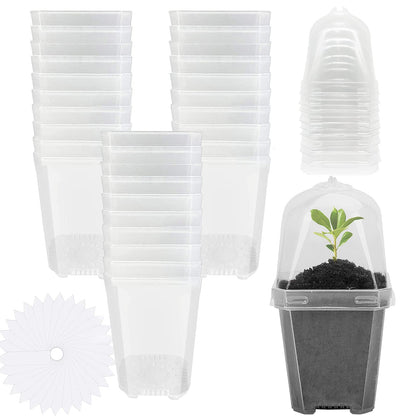 EBaokuup 30PCS Clear Plant Nursery Pots with Humidity Dome - 3" Durable Plastic Gardening Pot, Small Plant Container for Seedlings/Vegetables/Succulents/Cuttings
