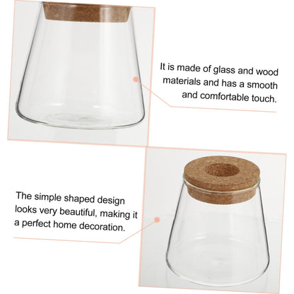 INOOMP 2Pcs Hydroponics Glass Vase for Plants Clear Smooth Terrarium Planter Home Decoration for Office and Events