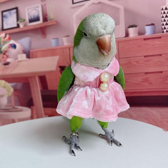 Bird Costume Bird Diaper Flight Suit Parrot Velvet Fleece Skirt Clothes Cosplay Photo Prop for Conure Lovebird Parakeet Cockatiel Macaw Small Animals Apparel (Pink,2M)