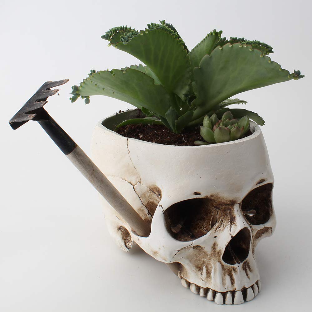 Mikayoo Skull Pen Holder Skull Makeup Brush Holder Pen Holder Dressing Table Office Desk Storage Box Green Plant Flower Pot Halloween Skull (Retro)