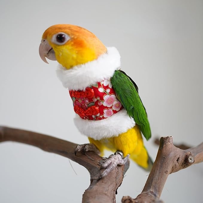 Bird Flight Suit & Clothes Cosplay Photo Prop for Parrots, Parakeet, Cockatiel & Sun Conure - Bird Hoodie for Small Animals (Red, X-Large)
