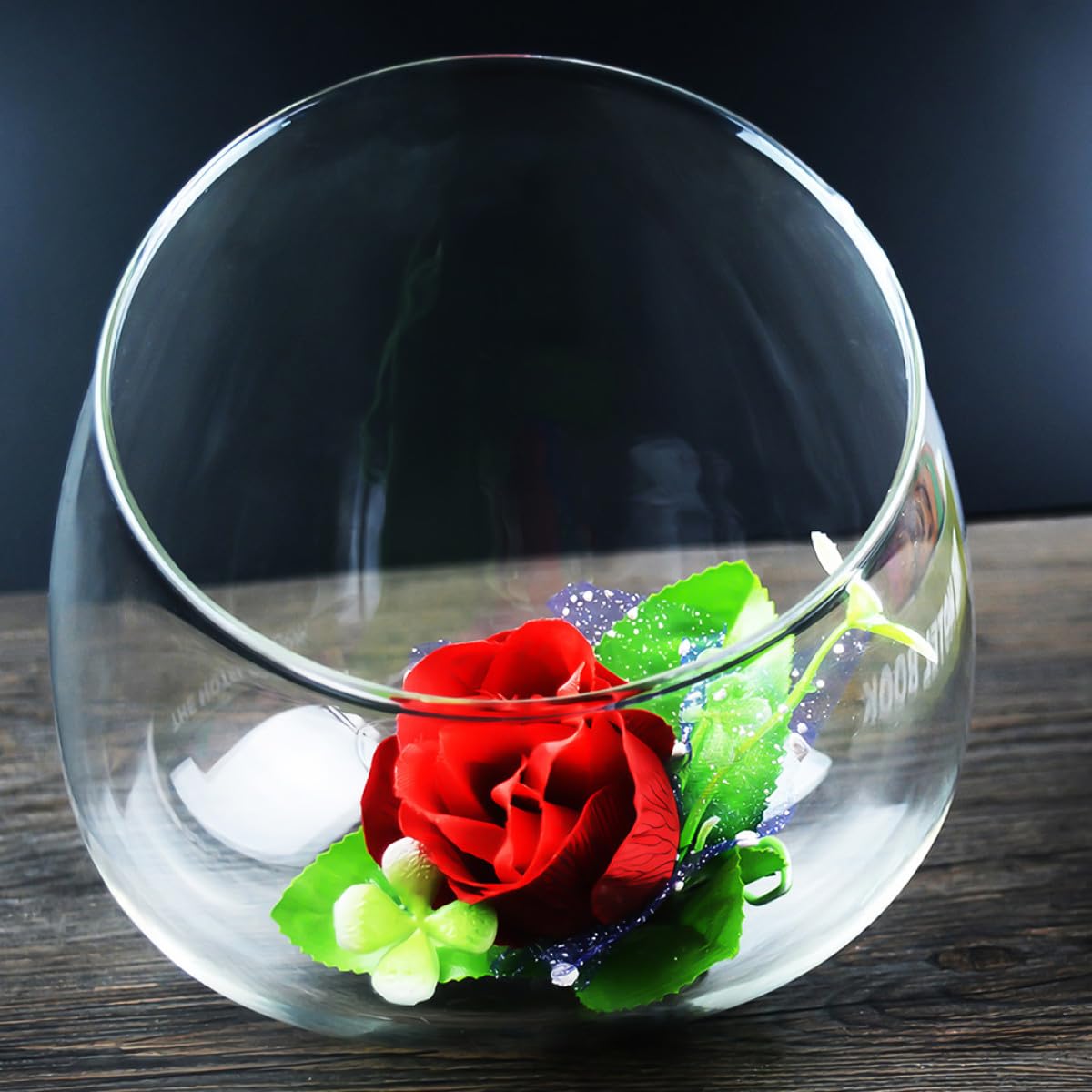 VINTORKY 3pcs Glass Terrarium Plant Display Bottle Succulent Vase for Home Decor Creative Eco-Friendly Micro Landscape Container for Plants and Decorative Accents