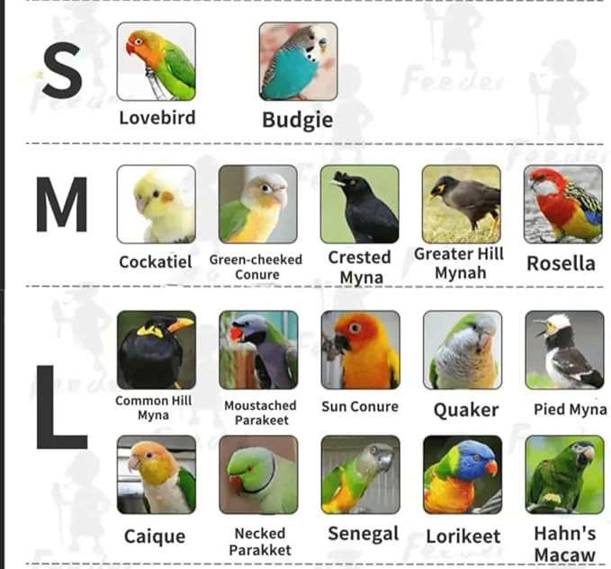 Bird Flight Suits Diapers for Monk Parakeets, Cockatiels, Parrot Clothes, Training Nappy Suit Liners (Large, Red-A)