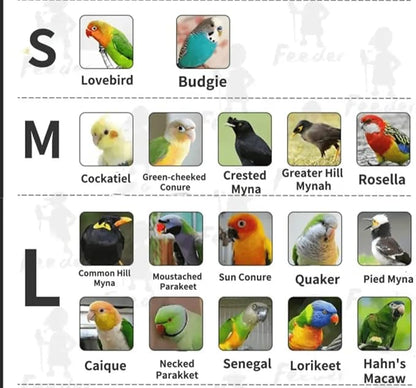 Bird Flight Suits Diapers, Parrot Flight Suits Diapers for Monk Parakeets, Cockatiels Flight Suits, Parrot Clothes, Bird Training Nappy Suit Liners Clothes (Medium,Red-B)