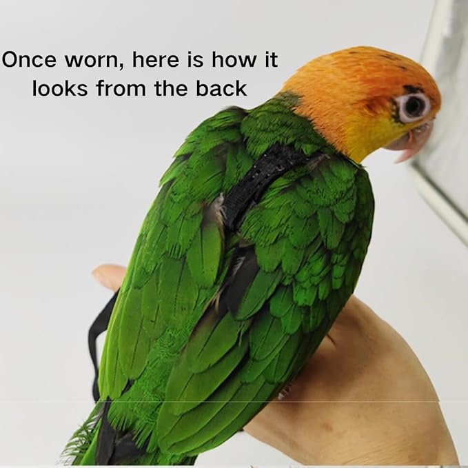 Adjustable Bird Harness and Leash for Parrots Outdoor Flight Training Anti-Bite Light Weight Easy-to-Wear Bird Vest with 59 Inch Elastic Leash for Quaker Conure African Grey Macaw Cockatoo (M)