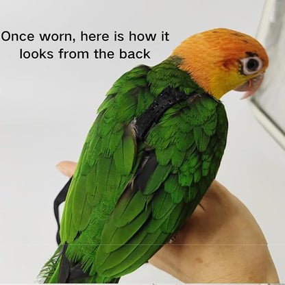 Adjustable Bird Harness and Leash for Parrots Outdoor Flight Training Anti-Bite Light Weight Easy-to-Wear Bird Vest with 59 Inch Elastic Leash for Quaker Conure African Grey Macaw Cockatoo (M)