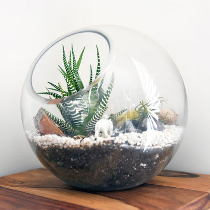 VANZACK 3pcs Round Glass Terrarium Vases Stylish Air Plant Containers for Home Office Decor Beveled Opening for Easy Plant Display for DIY Projects and Centerpieces