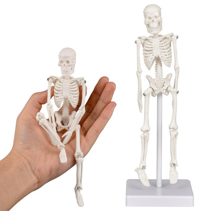Mini Skeleton Model, 7.8" Small Anatomy Skeleton Figure, Movable Arms and Legs, Human Body Model with Base, Human Bones for Teaching Tool, Decoration