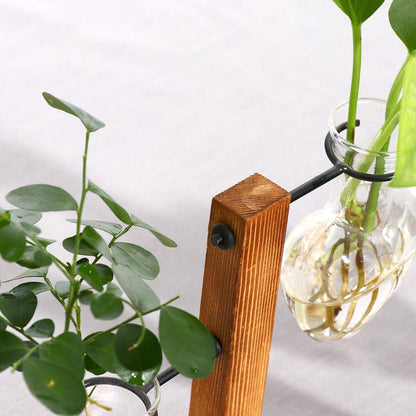 Baoblaze Desktop Plant Terrarium Glass Vase, Suitable Plants, Flowers, 15x10cm