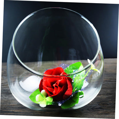 Cabilock 3pcs Glass Slant Cut Micro Landscape Bottles, Ecological Glass Terrarium Jars for Succulent Plant Display, Desktop Home Décor Vases