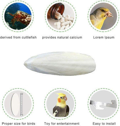 Natural Cuttlebone for Birds Parakeets Canaries Cockatiels Small Conures Mynahs Toucans African Greys All Parrots Snails Totoise, with Holder for Bird Cage (4-5 inch,2PCS)