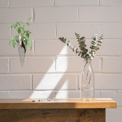 Homoyoyo Clear Glass Cone Vase - Wall-Mounted Terrarium Planter for Stylish Plant Displays for Flower Arrangements and Home Decor Unique Circular Design for Indoor Gardens