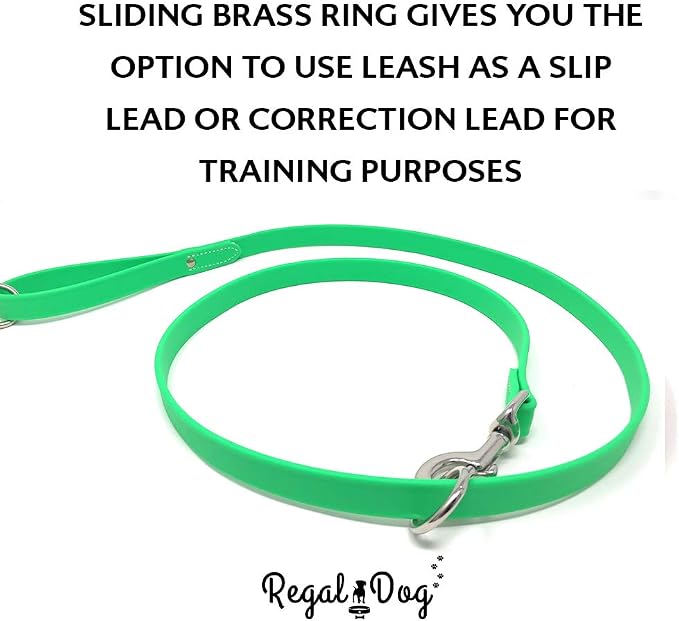 Regal Dog Products Large Light Green Waterproof Dog Collar and Leash Set | Heavy Duty Double Buckle & D Ring - 5'ft Leash | Adjustable Biothane Dog Collar | Chew Resistant Waterproof Collar for Dogs