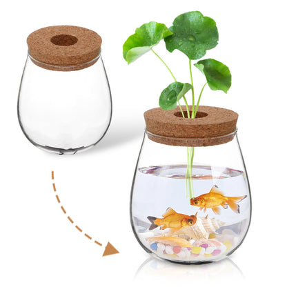 CIYODO Elegant Hydroponic Glass Vase for Indoor Plant Propagation Space Saving Terrarium for Home Decoration Minimal Maintenance Design for Plants