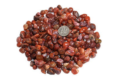 ZenQ 1 lb Red Agate Tumbled Stone Chips Crushed Natural Crystal Quartz Pieces