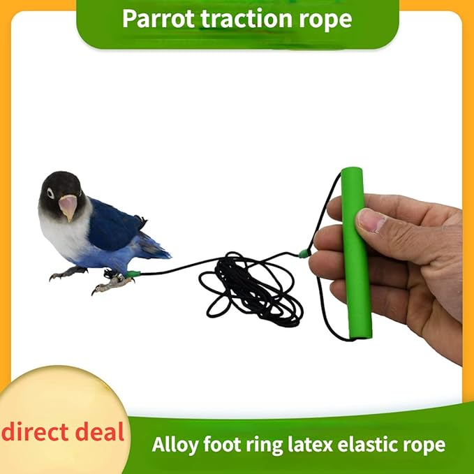 Bird Foot Chain with Flying Latex Elastic Training Rope Outdoor Parrot Ankle Foot Ring Accessories Bird Harness Leash Prevent Escaping (Model5-With 78.7inch Leash)
