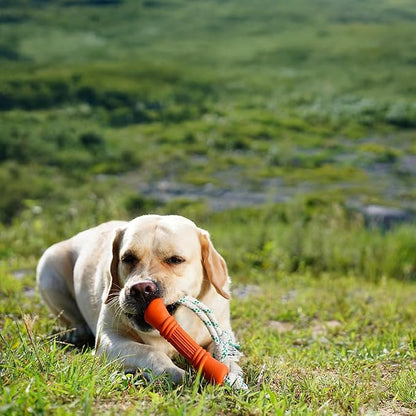 Green Sheep Tug & Enrichment Dog Toy, Interactive Rope Bone Toy with Removable Cotton Rope, Treat Dispensing Natural Rubber Dental Chew Toy for Medium and Large Dogs, Orange