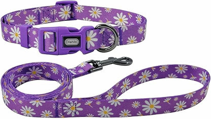 Dog Collar Leash Set, Floral Pattern, Polyester Material, Adjustable Collar and 5ft Matching Leash, for Small Dogs.(S, Purple Daisy)