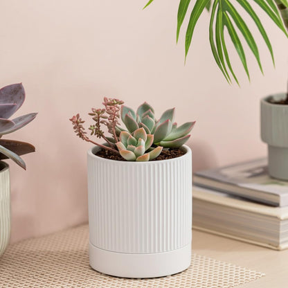 HERDUK Small Plant Pots, 4 Inch Pots for Indoor Plants, Modern Minimalist Ceramic Plant Pots with Drainage Hole & Saucer, White Set of 2