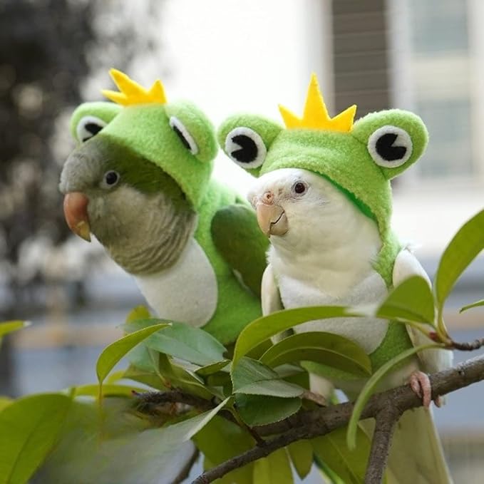 Bird Costume Diaper Flight Suit Frog Shape Hoodie Clothes Cosplay Photo Prop for Parrots Parakeet Cockatiel Sun Conure, Small Animals Apparel (Pink Without Diaper, Small), Green