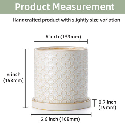 Chubacoo 6 Inch Plant Pot: Ceramic Planter with Drainage Hole & Saucer Indoor Outdoor Plants - Cylinder Round Flower Pot for Home Office - Modern Decorative - Small White