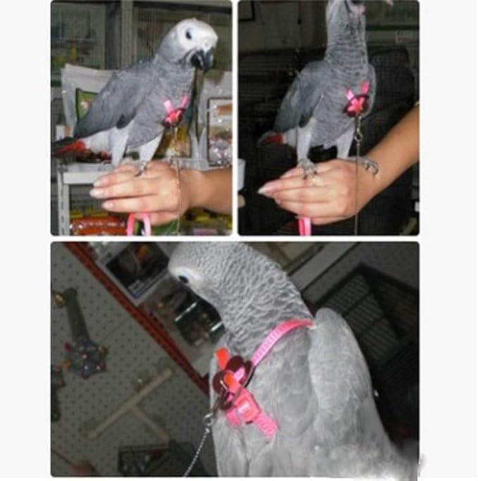 Adjustable Harness Leash for Birds 2Pack Nylon Anti-bite Outdoor Training Walking Control Rope for Parrot African Grey Cockatoo Macaw Ringneck Parakeet Cockatiel Reptile Lizard (Orange+Pink)